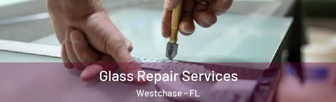  Glass Repair Services Westchase - FL