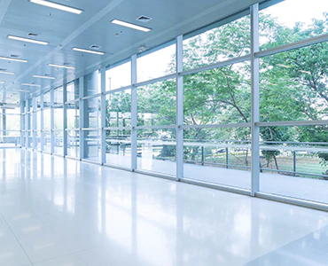 emergency glass repair in Westchase, FL