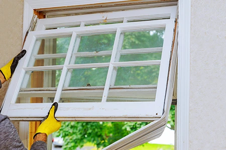Window Replacement in Westchase, FL