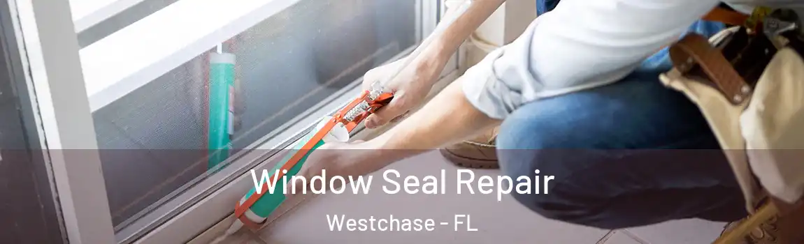  Window Seal Repair Westchase - FL